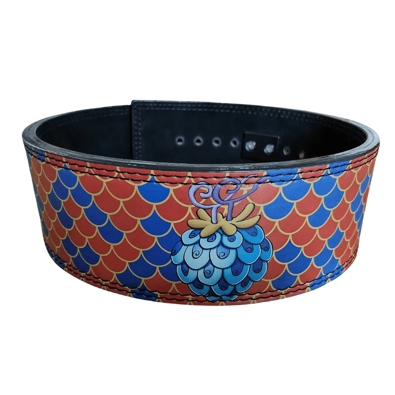 "Vue d'ensemble de la Ceinture Powerlifting Kaido en modèle bicolore"