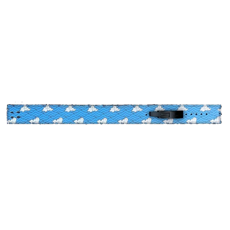 "Ceinture de powerlifting Final Selection assurant stabilité et protection lombaire, design unique"