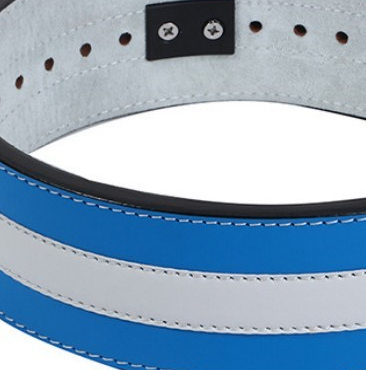 "Ceinture de levage bleu blanc : un choix de qualité pour les sportifs souhaitant améliorer leur technique et leur stabilité"
