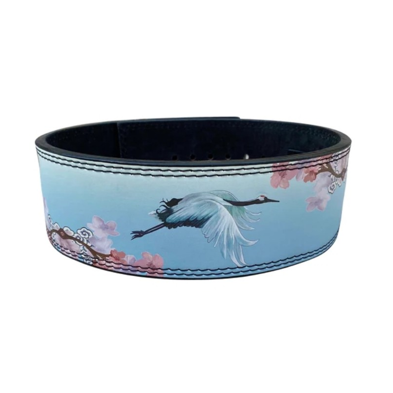 "Ceinture de force cygne : stabilité et protection pour votre dos lors des exercices de musculation"