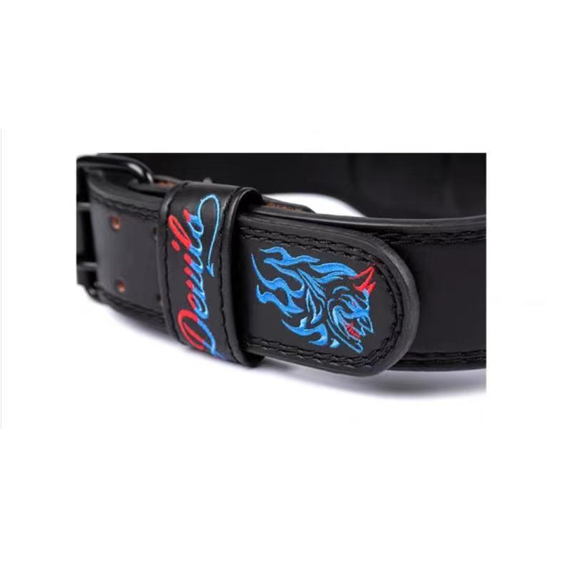 "Ceinture de force Démon Bleu : laissez-vous séduire par cette ceinture captivante"