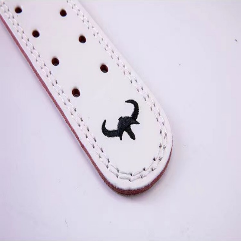 "Ceinture de levage Viking : dominez la salle de musculation avec la détermination des Vikings"
