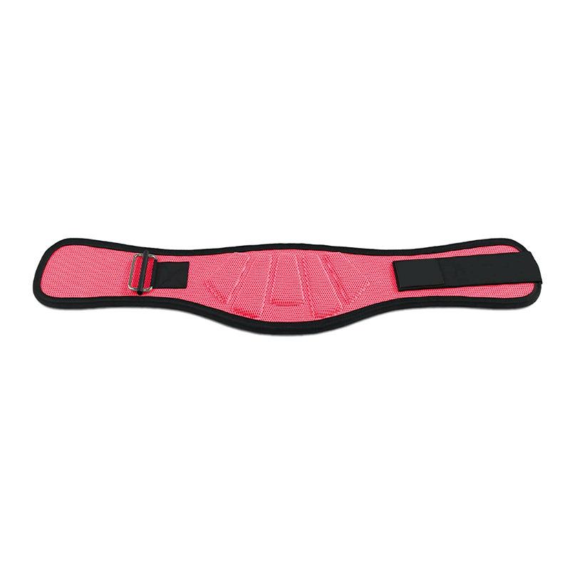 "Ceinture lombaire de couleur rosé : maintien et protection pour vos mouvements"