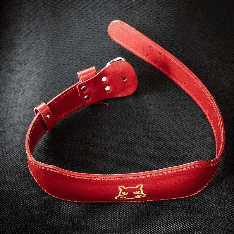 Alt Text 4: "Ceinture de musculation Hippo bleue sur fond blanc"