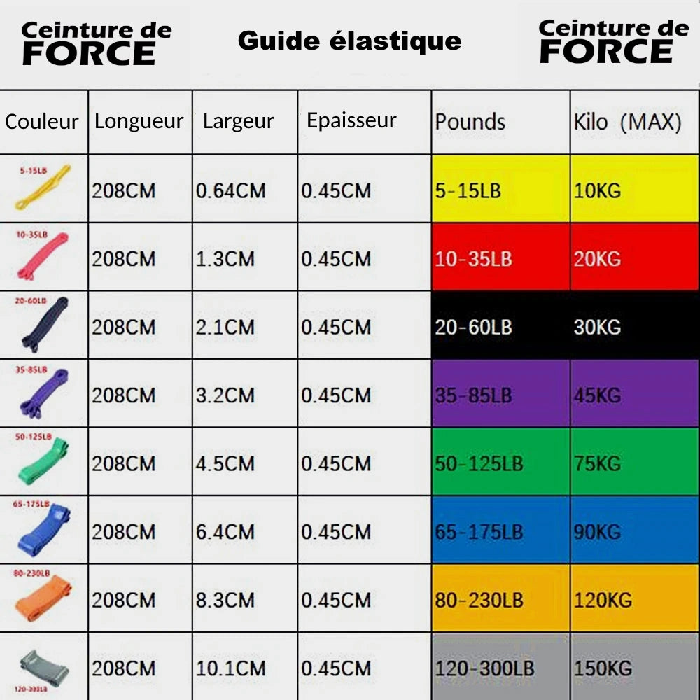 Musculation bande guide