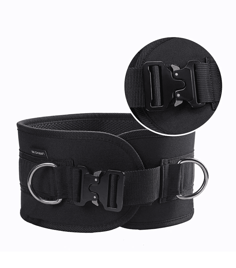 Ceinture de leste