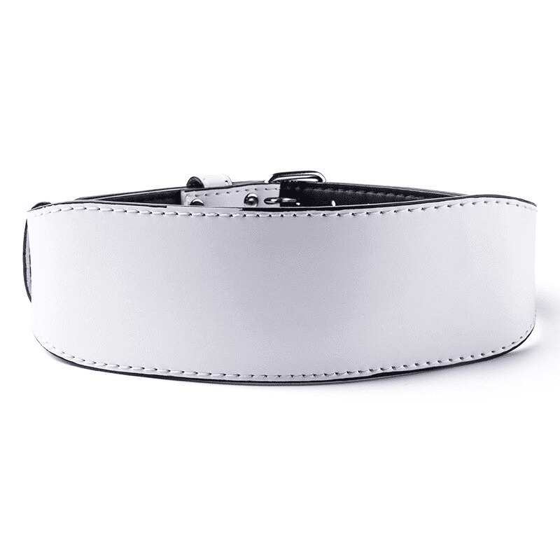 Ceinture de musculation blanche - Ceinture de force
