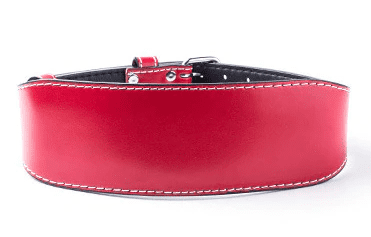 ceinture musculation pourpre