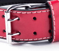 Ceinture de musculation pourpre - Ceinture de force