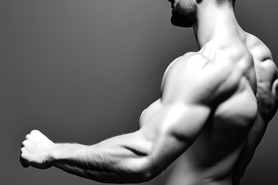 Musculation : Guide Complet des Exercices pour des Biceps et Triceps Solides