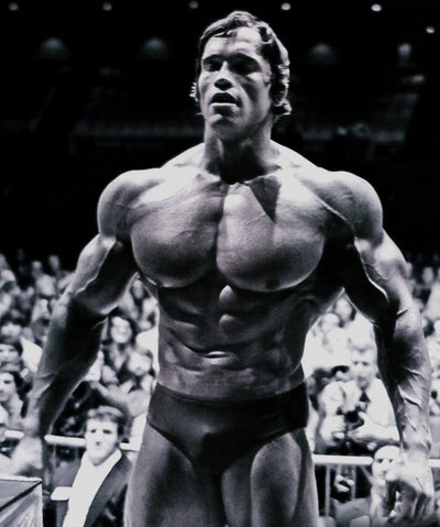 Arnold Schwarzenegger