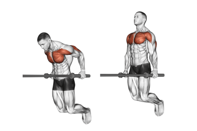 Quels Muscles Sont Sollicités Lors des Dips ? Un Guide Complet
