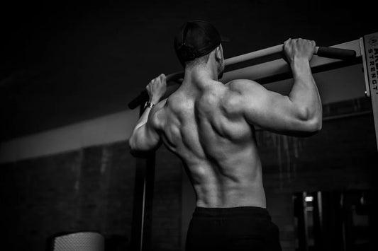 Gainer ou whey pour la prise de masse : lequel choisir ?