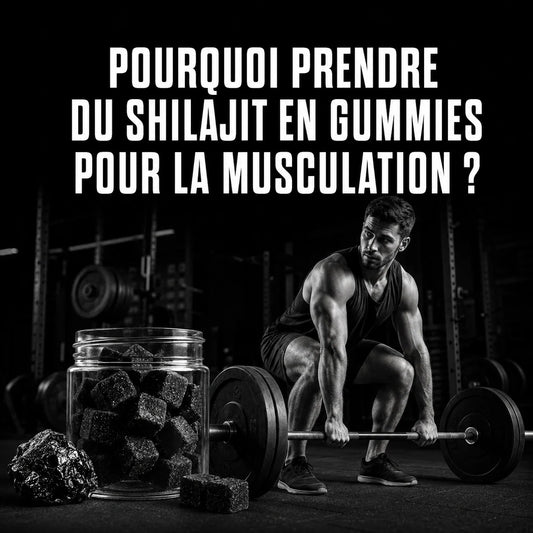 Pourquoi prendre du Shilajit en Gummies pour la musculation ?