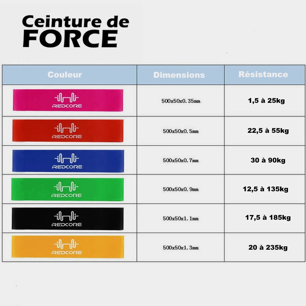 Bande muscu guide taille