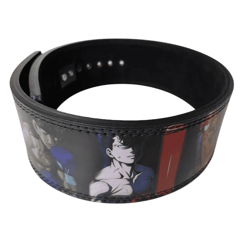 Aoki et Kimura, partenaires d'Ippo, ornent la ceinture.