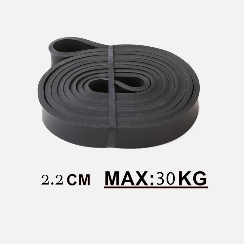 Musculation bandes de résistance 30kg
