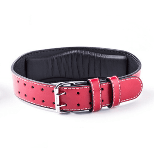 Ceinture de musculation pourpre - Ceinture de force