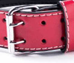 rivet ceinture musclation